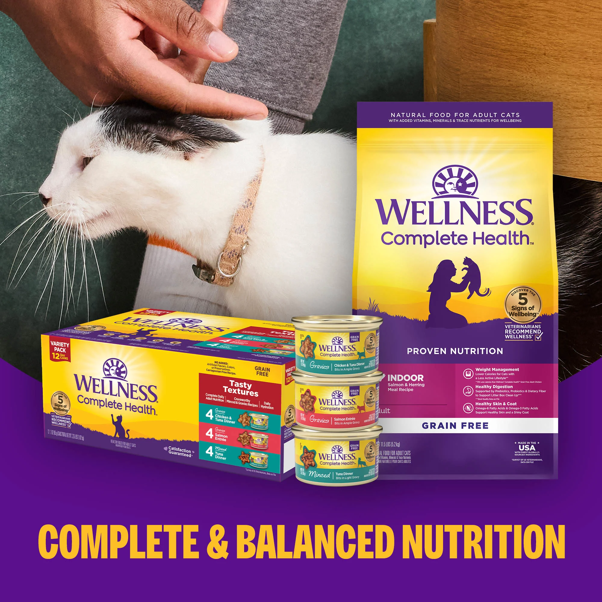 Wellness Complete Health Grain Free Gravies Turkey Dinner Wet Cat