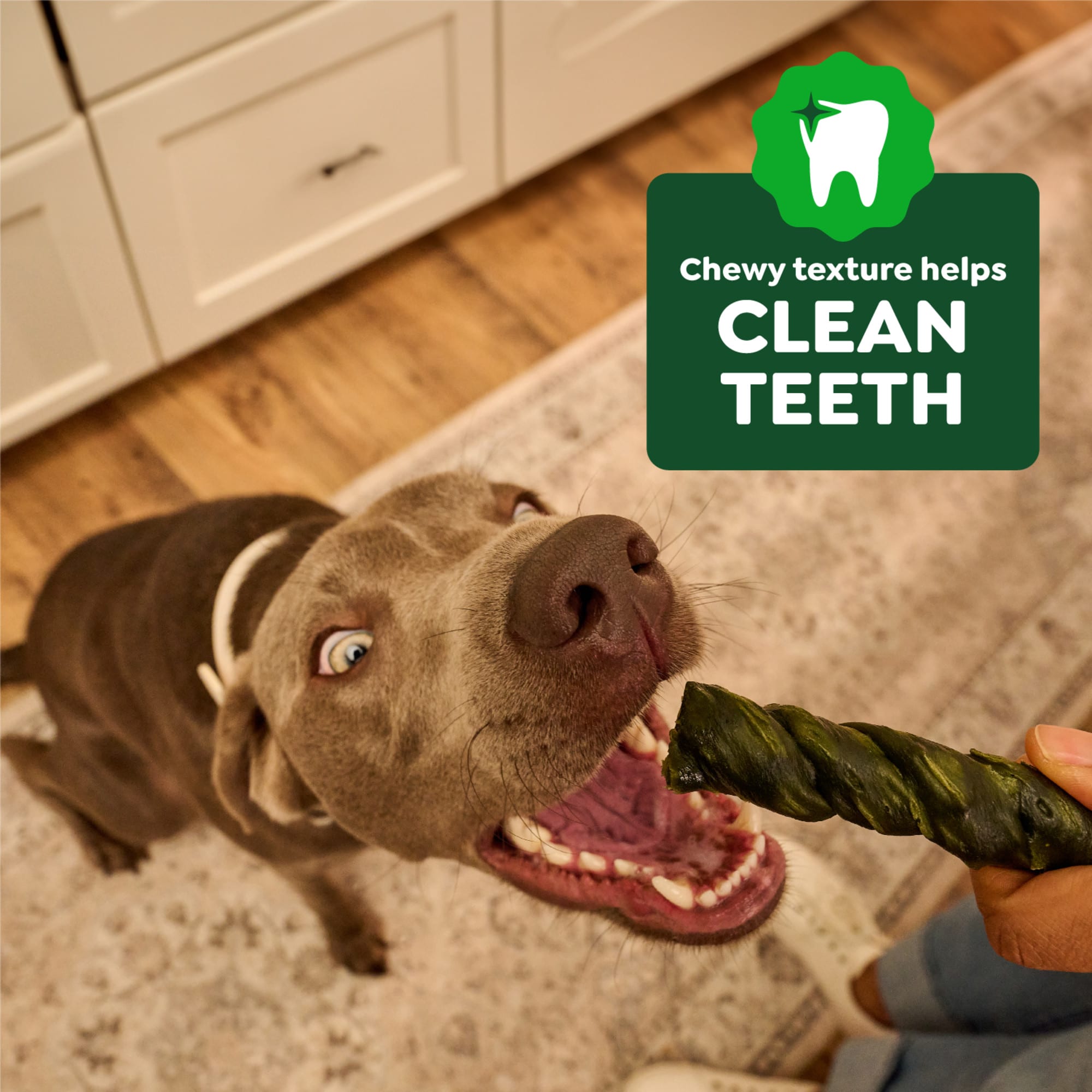 Greenies Occupy Twists Large Size Chicken Flavor Natural Dog