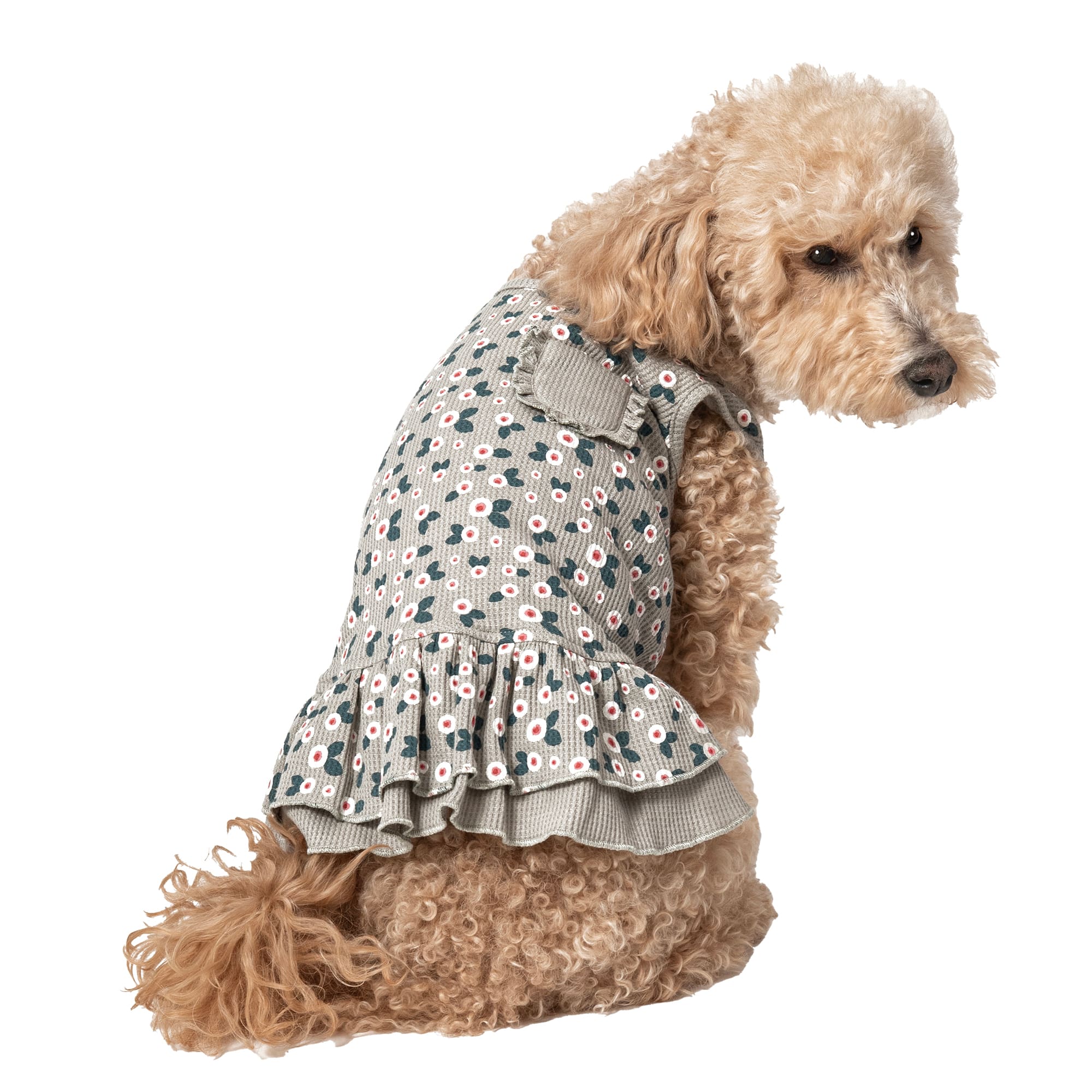 sage green dog dress Sage Green Pet Dress, Wedding Flower Girl, Birthday Party Clothes, Puppy  Photoshoot Outfit, Matching Set Look, Handmade Dog Cat Accessories