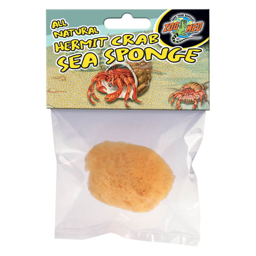 8 Pieces Hermit Crab Sponges - Live Hermit Crab