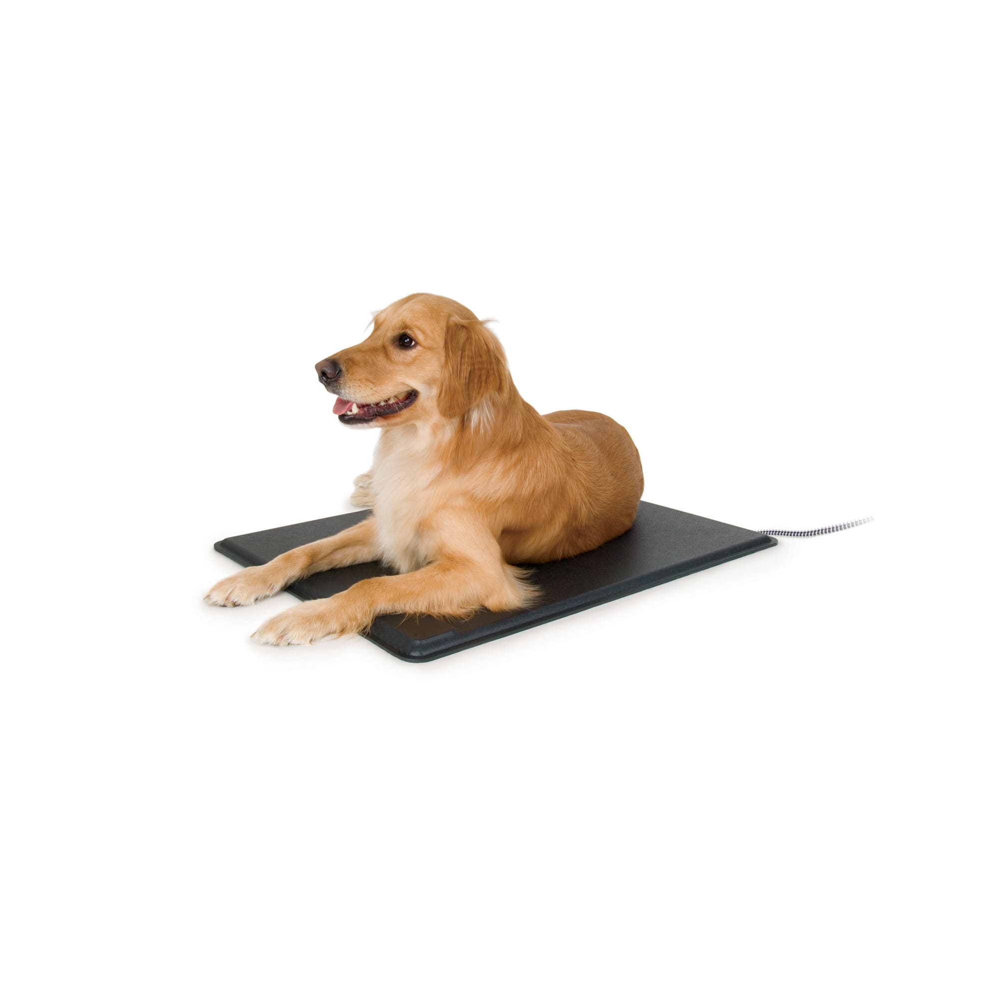 Petco sales heating pad