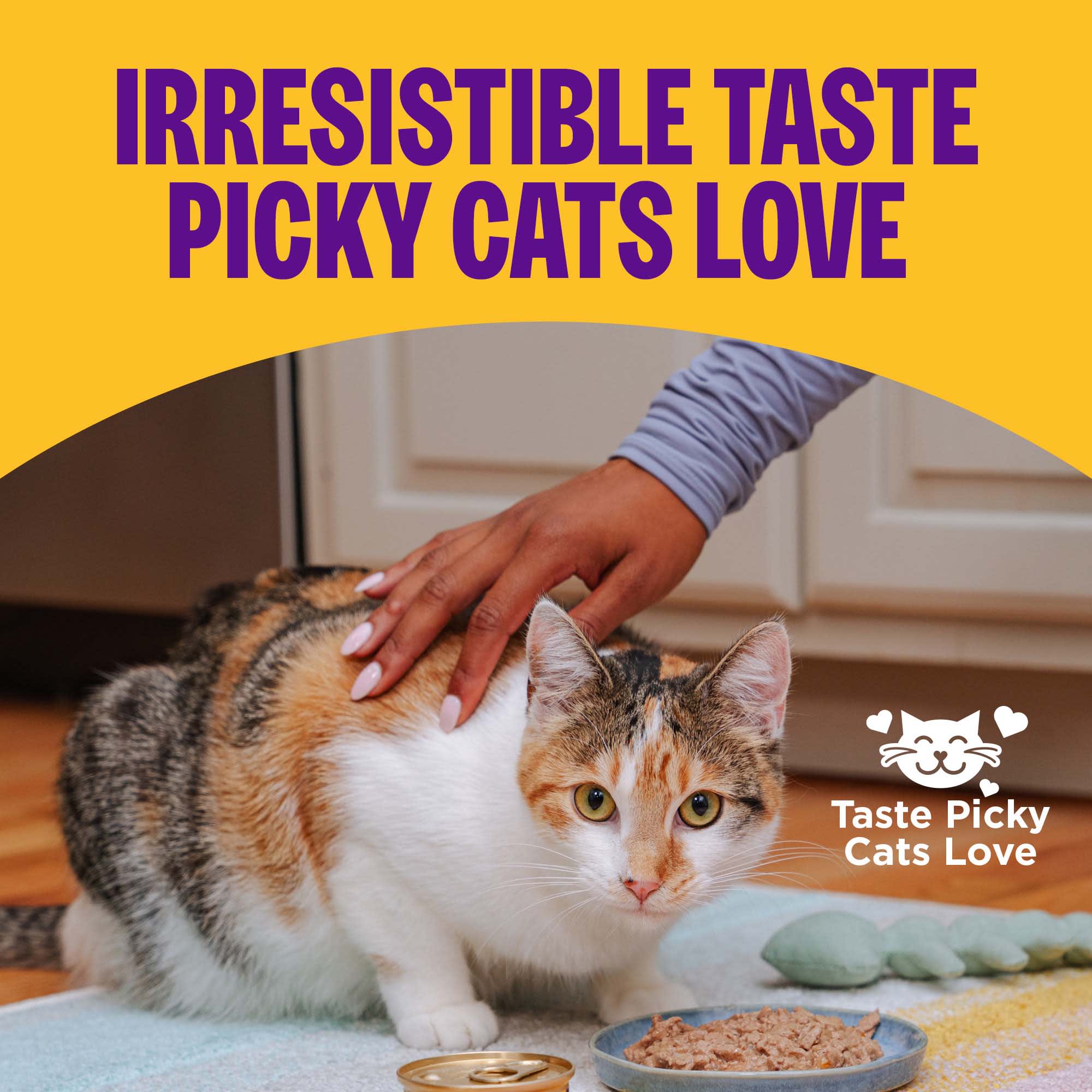 Wellness Complete Health Grain Free Chicken Entree Pate Wet Cat Food, 12.5  oz., Case of 12