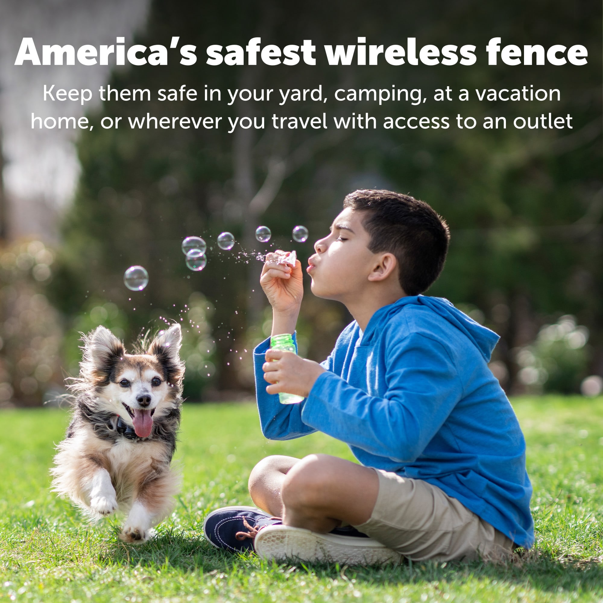 PetSafe Free to Roam Wireless Fence Receiver Collar - PIF00-15002 for sale  online