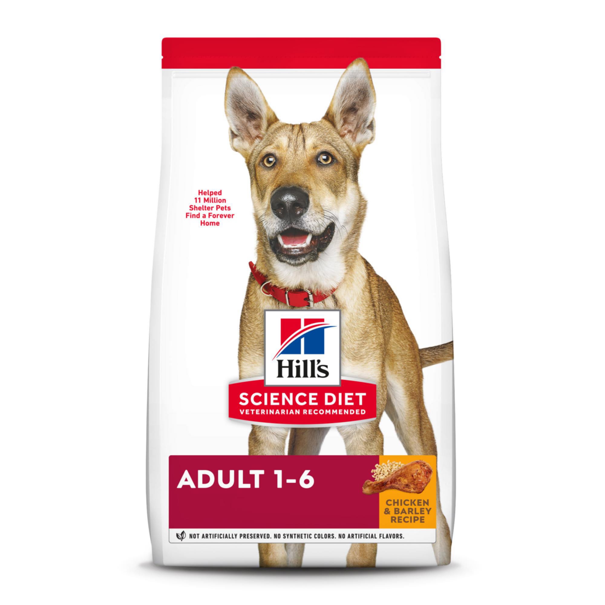 New Free Shippi Hill`s Science Diet Adult Oral Care Dry Dog Food 4-Pound Bag 