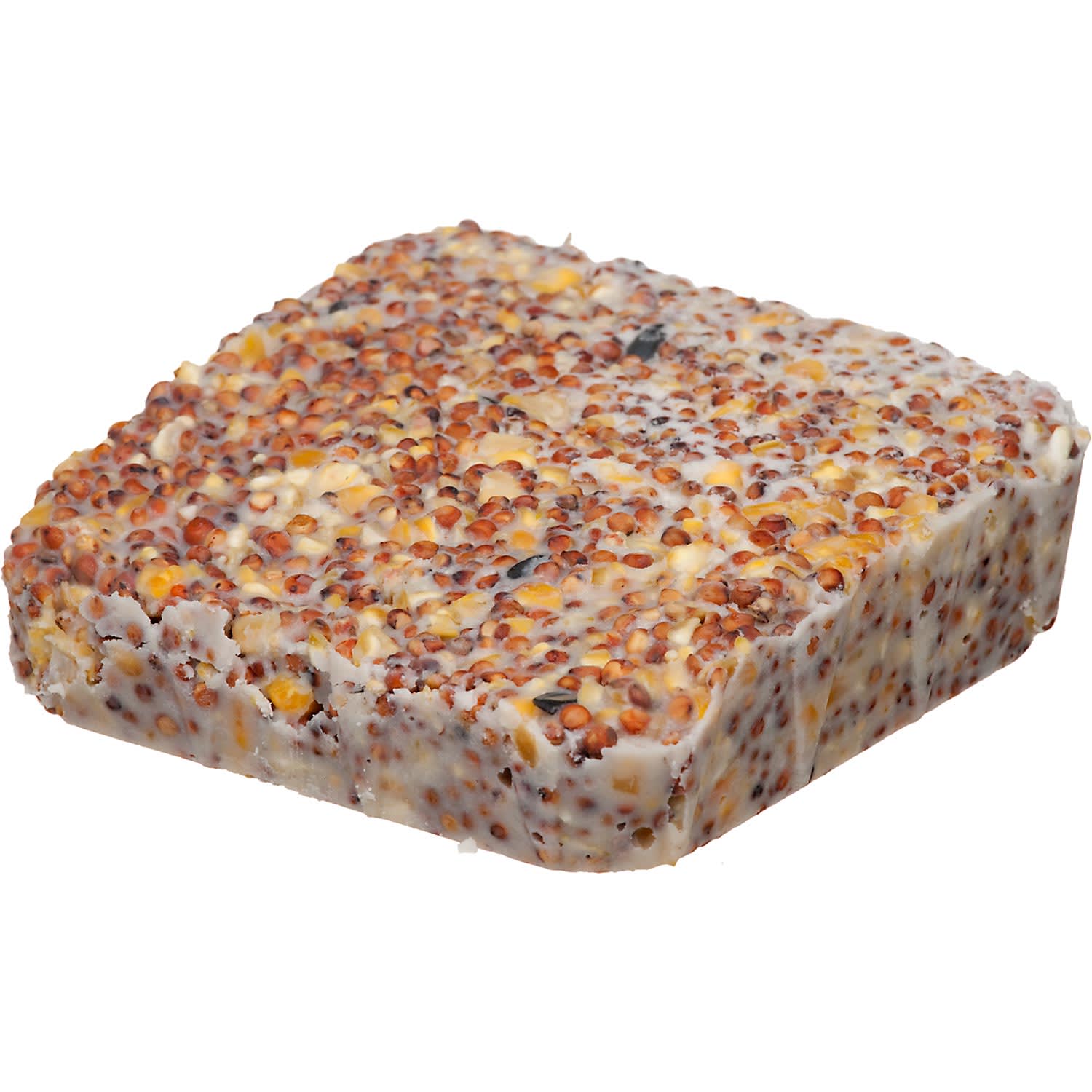 Morning Song Year-Round Suet | Petco 