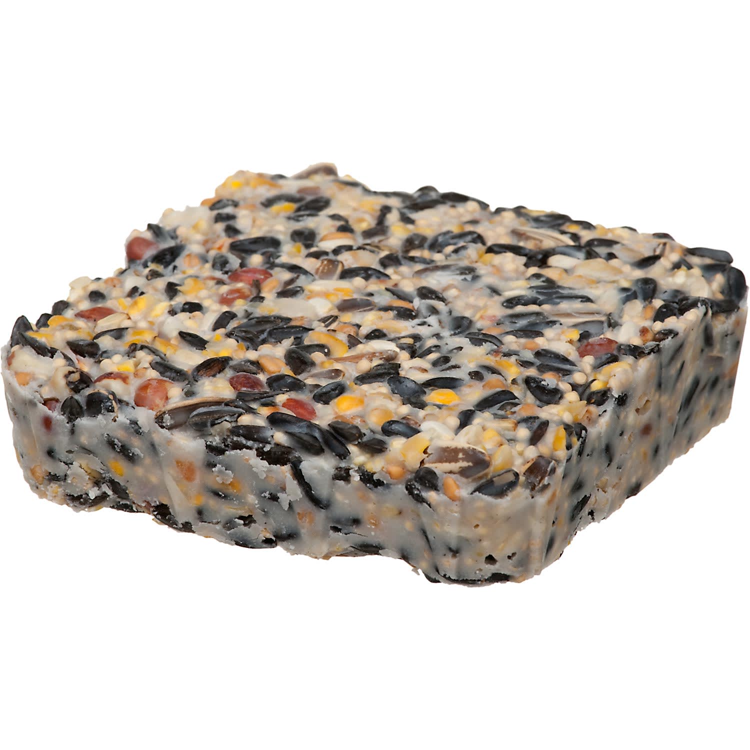 Morning Song Bird Watchers' Blend Suet for Wild Birds & Finches