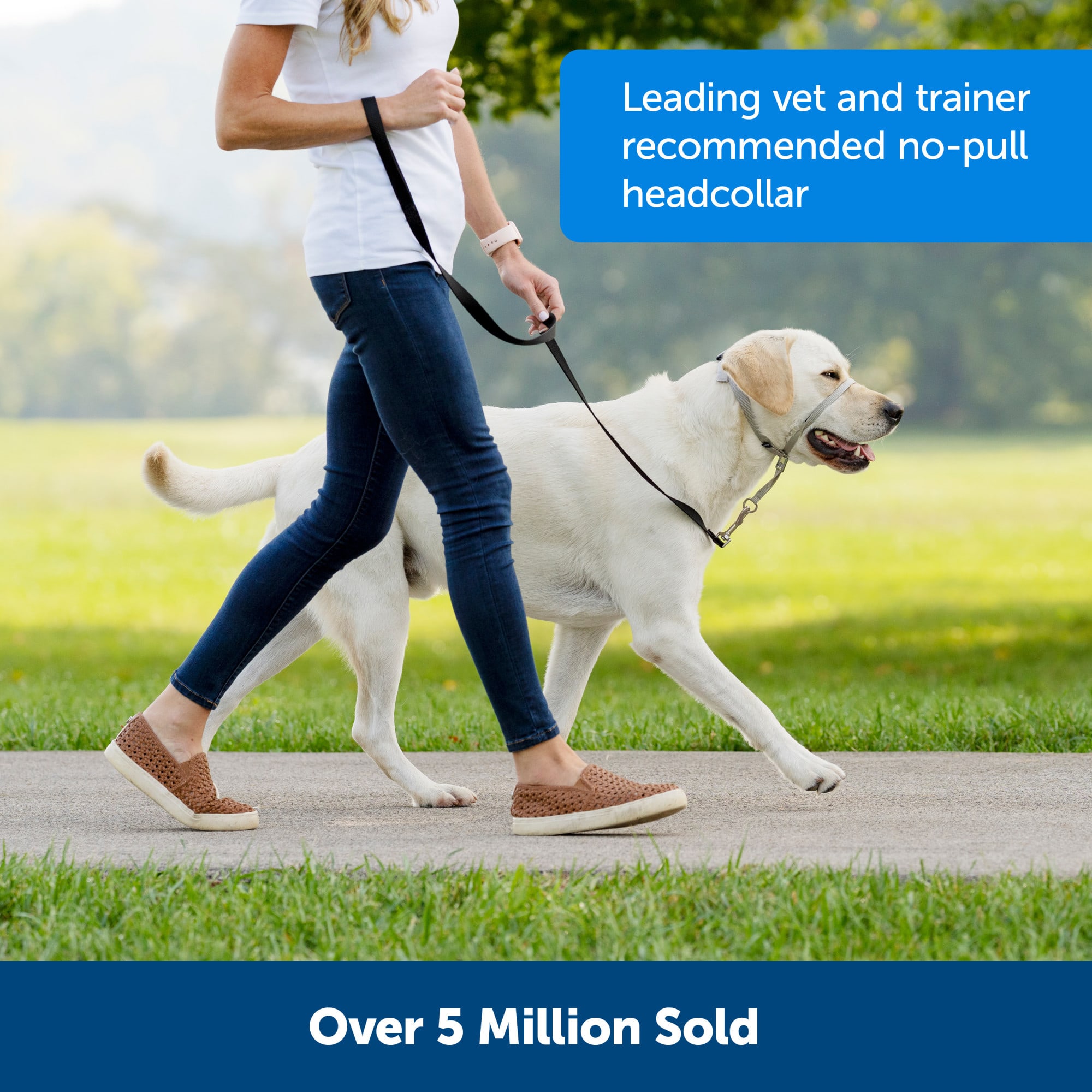 Gentle leader head collar petsmart sale