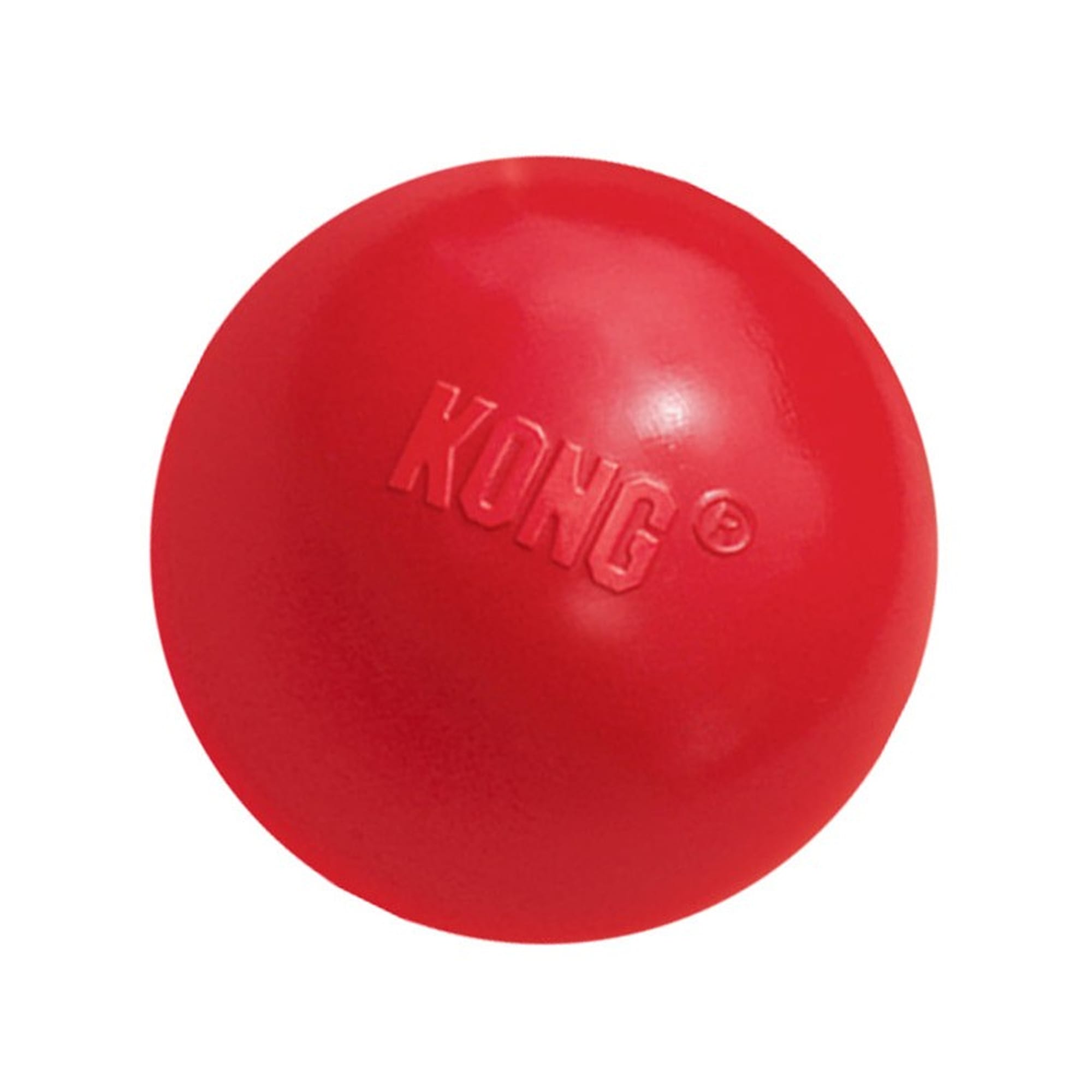 bouncing ball for dogs