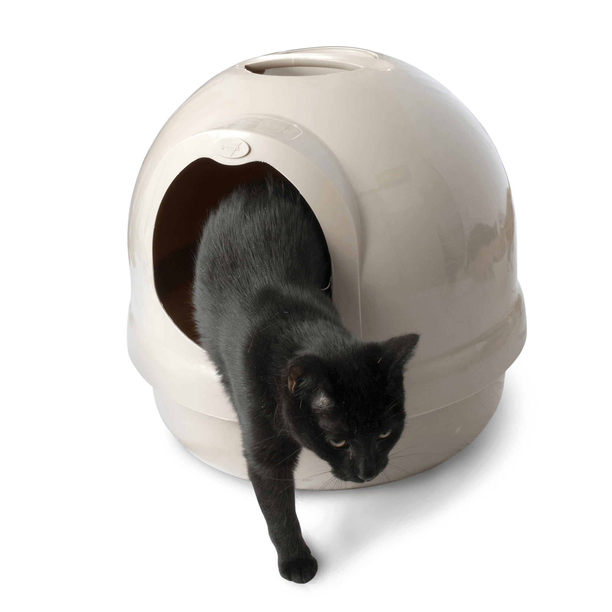 petco cat litter box