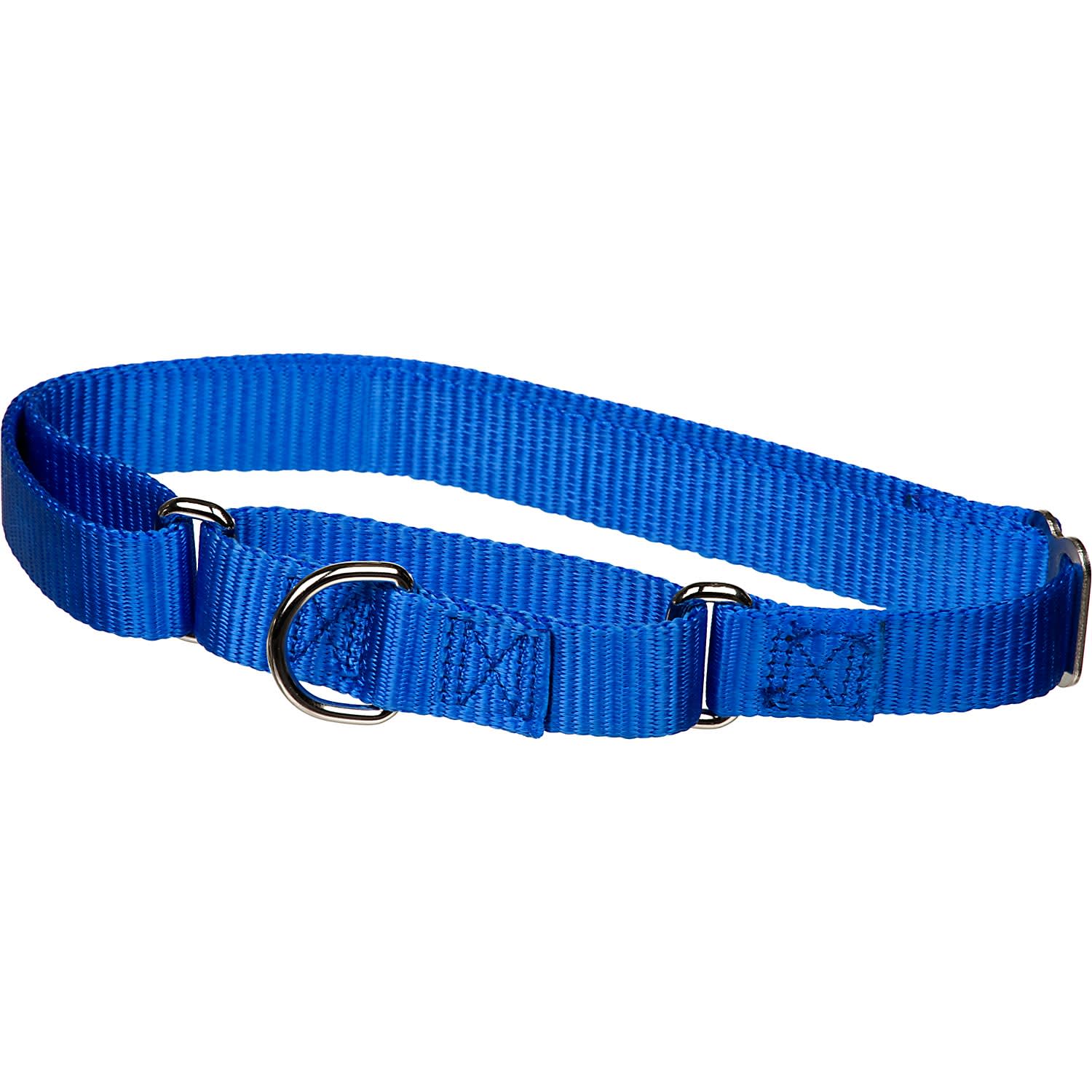 X-tra Control Collar Blue Large 19