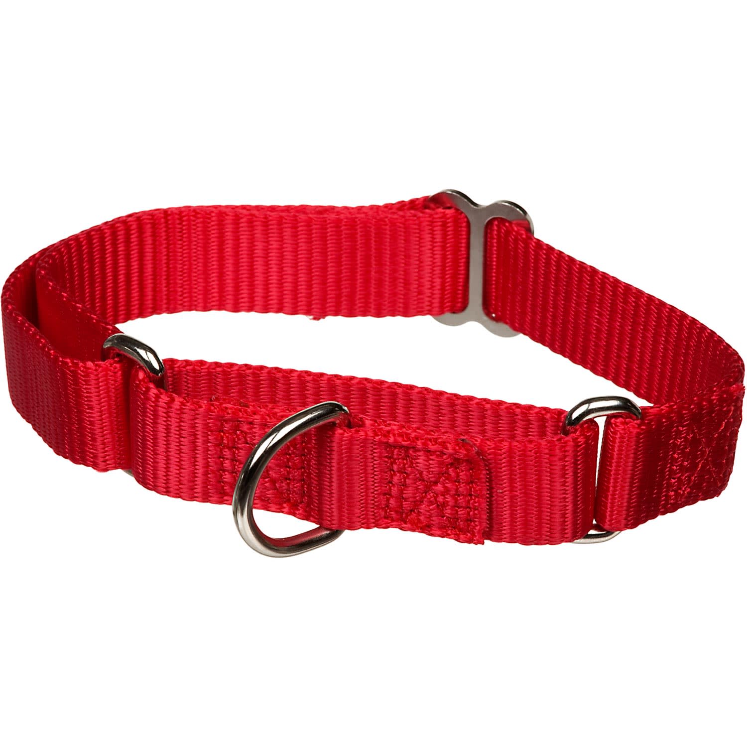 Martingale dog best sale collar petco