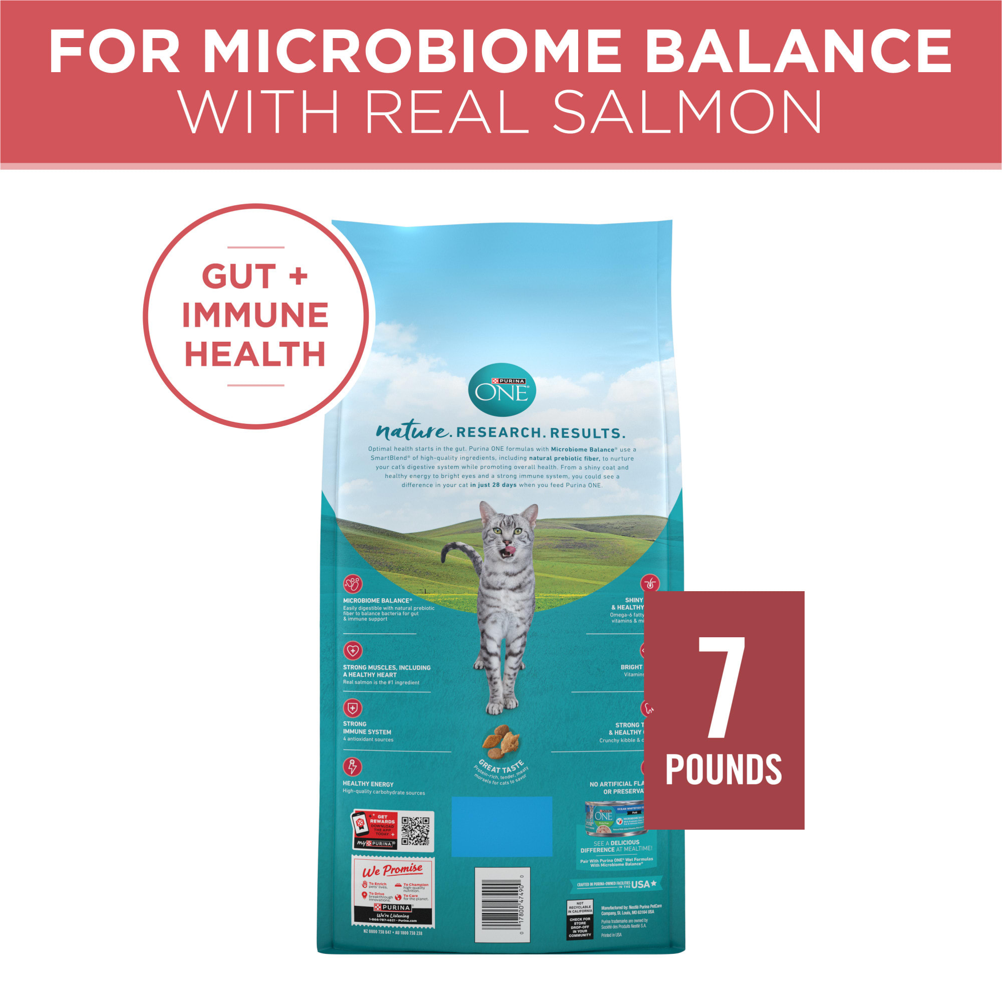 Purina ONE Tender Selects Blend With Real Salmon Natural Dry Cat Food, 16  lbs. | Petco