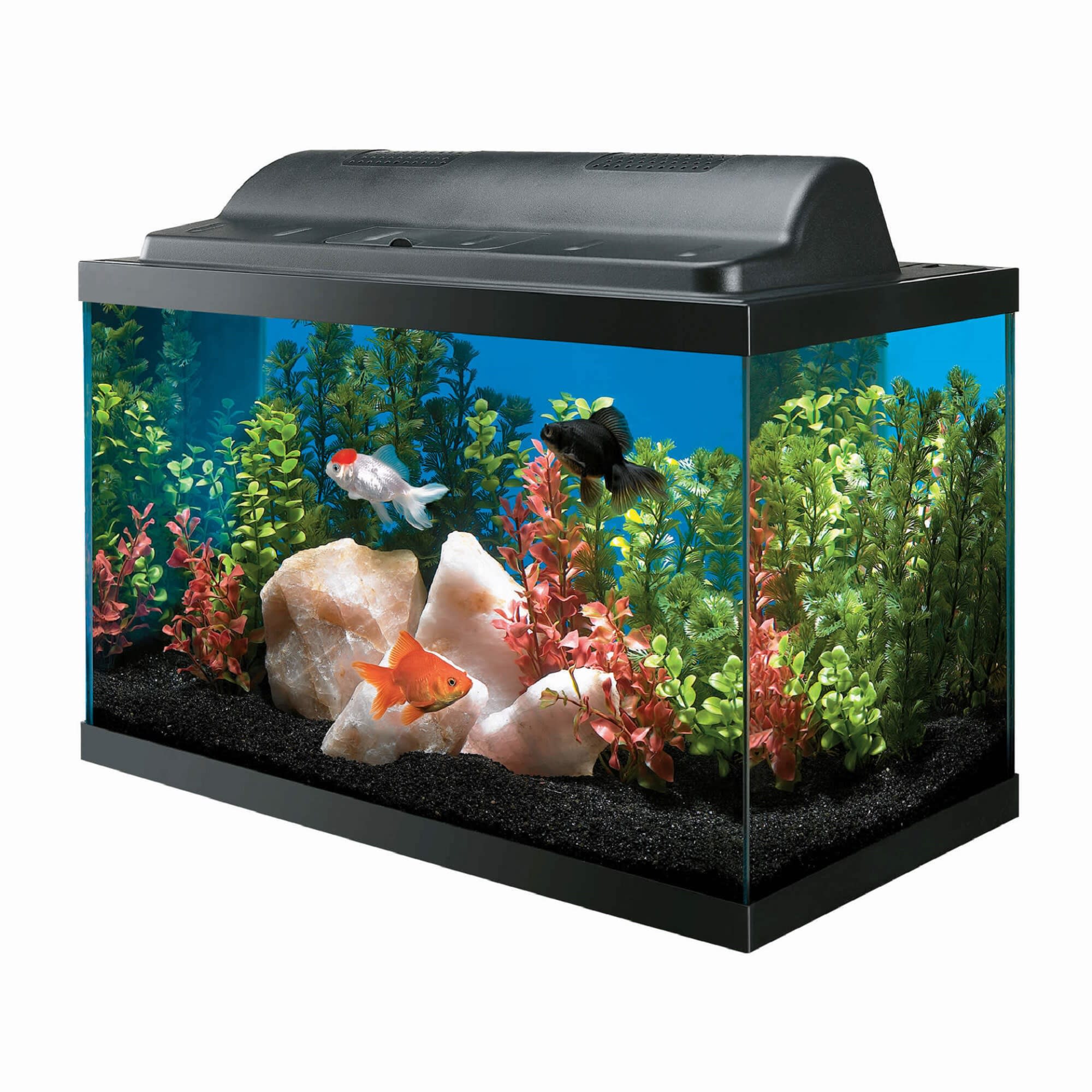 Plastic Aquarium Fish Tank Starter Kit Goldfish Carry Handle Lid Gravel Cage