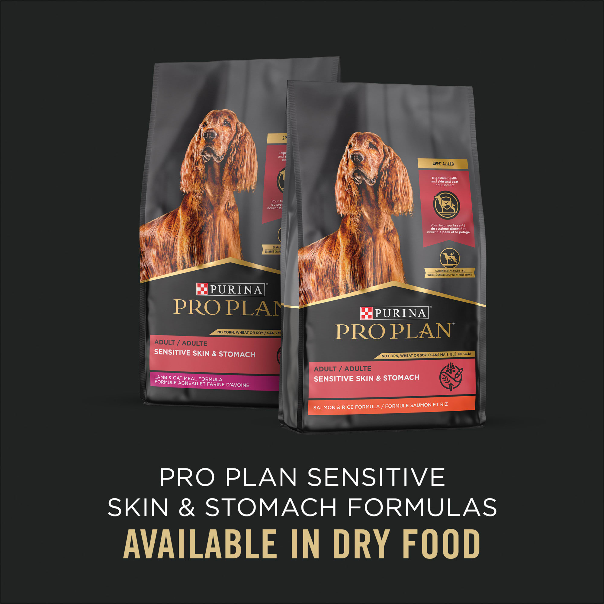 Purina Pro Plan Sensitive Skin and Stomach Salmon and Rice Entree