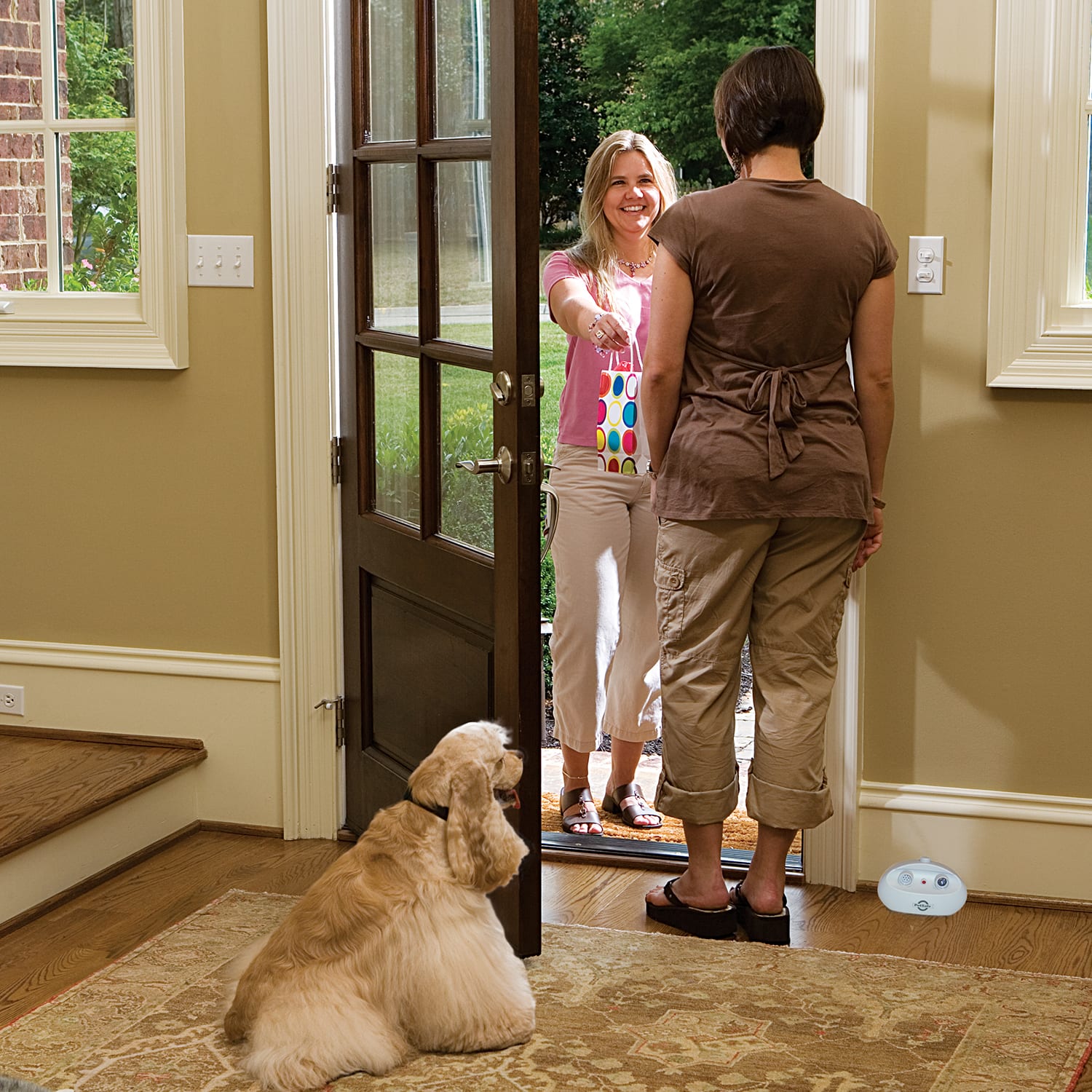 Petco dog barking store control