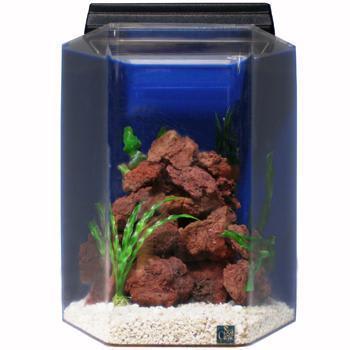 UPC 019034132038 product image for SeaClear 20 Gallon Deluxe Hexagon Aquarium Combo, Cobalt Blue | upcitemdb.com