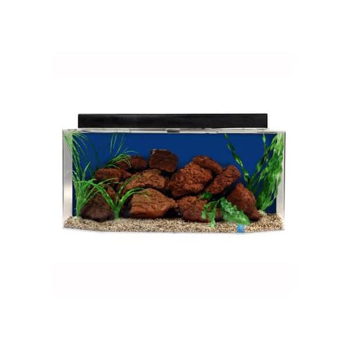 petco hexagon fish tank