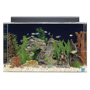 petco acrylic aquarium