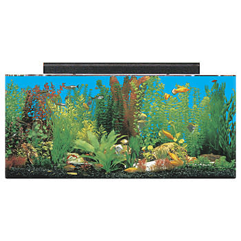 UPC 019034123043 product image for SeaClear 30 Gallon Rectangular Show Aquarium Combo, Black | upcitemdb.com