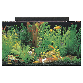 50 gallon aquarium hood