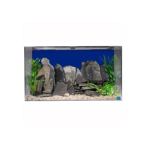 UPC 019034125030 product image for SeaClear 50 Gallon Rectangular Aquarium Combo, Cobalt Blue | upcitemdb.com