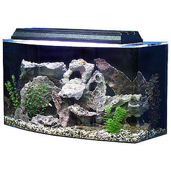 Petco bow best sale front aquarium