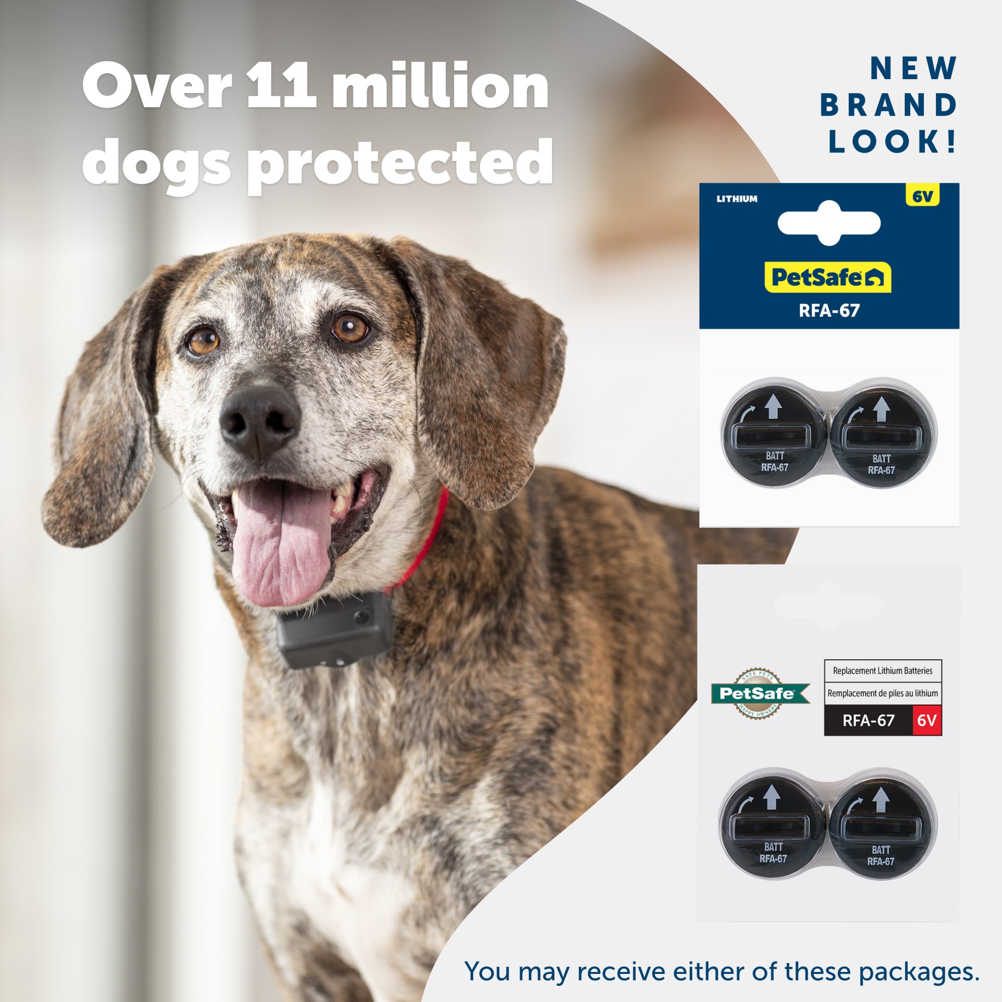 Petsafe dog outlet collar battery