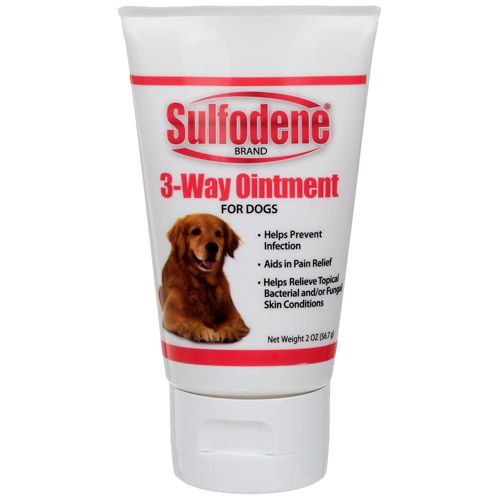 flaky skin Lillidale Skin Ointment for dogs with dry Contains Calamine sulph 