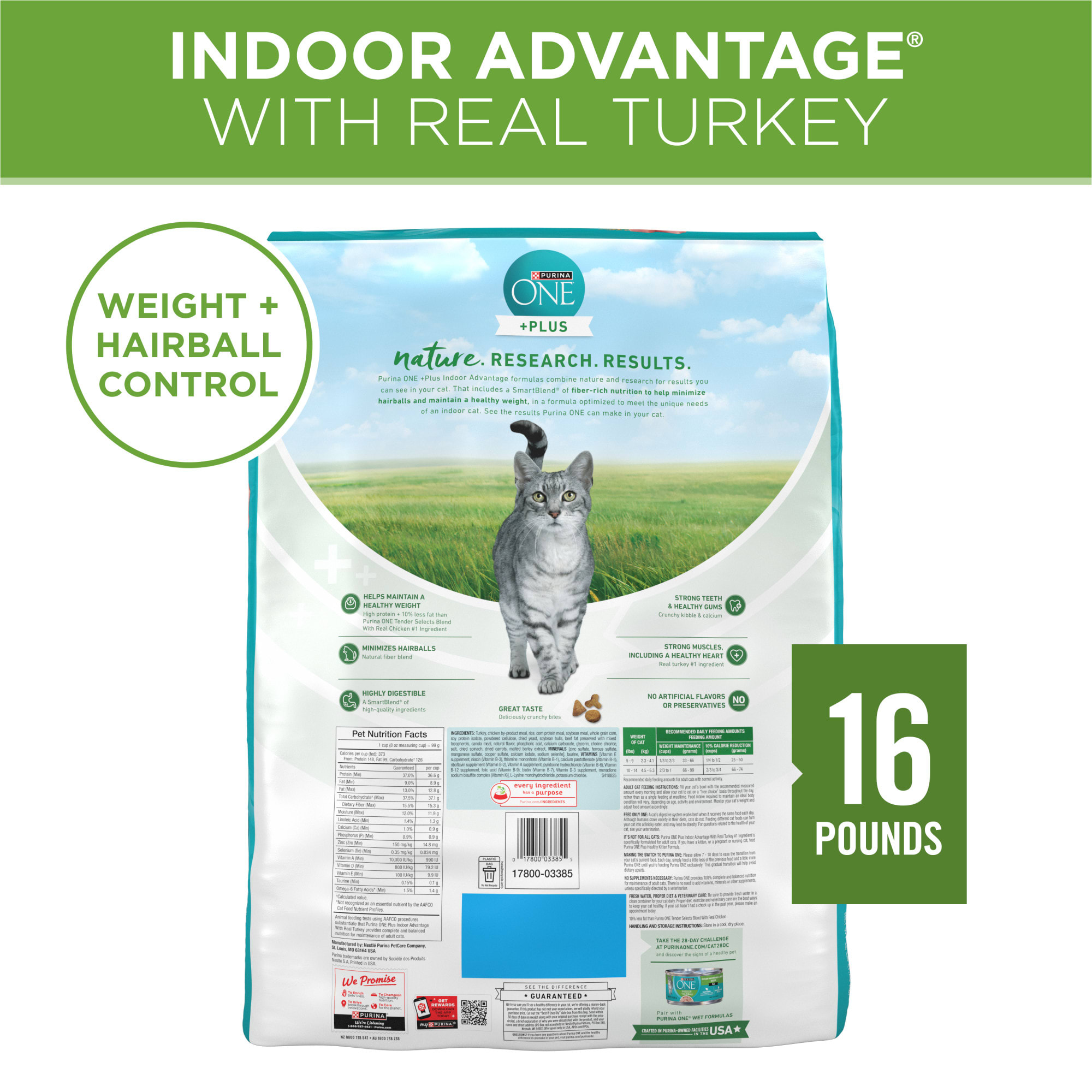 rabbit cat food wet Rabbit Dry for Cats