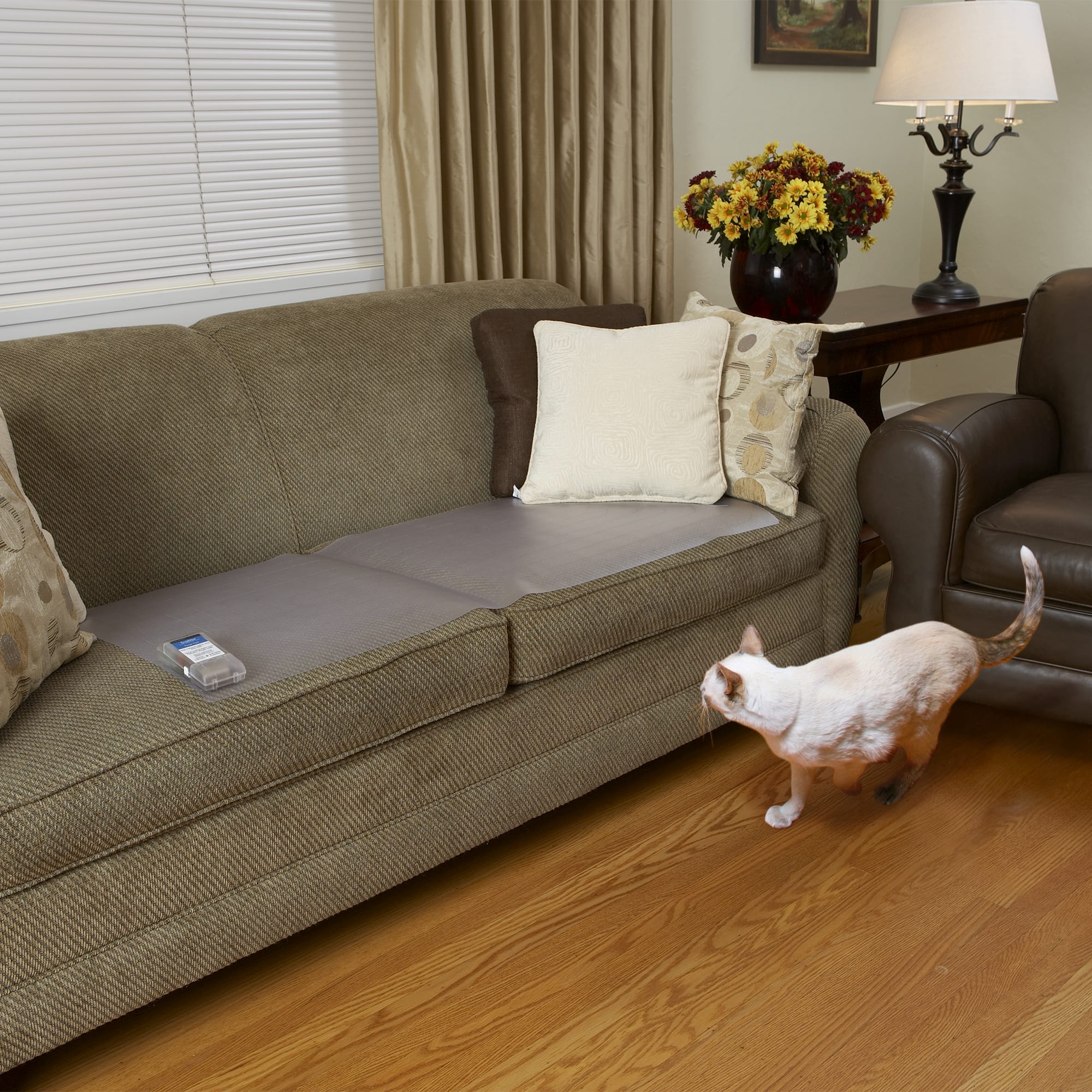 dog off couch mat