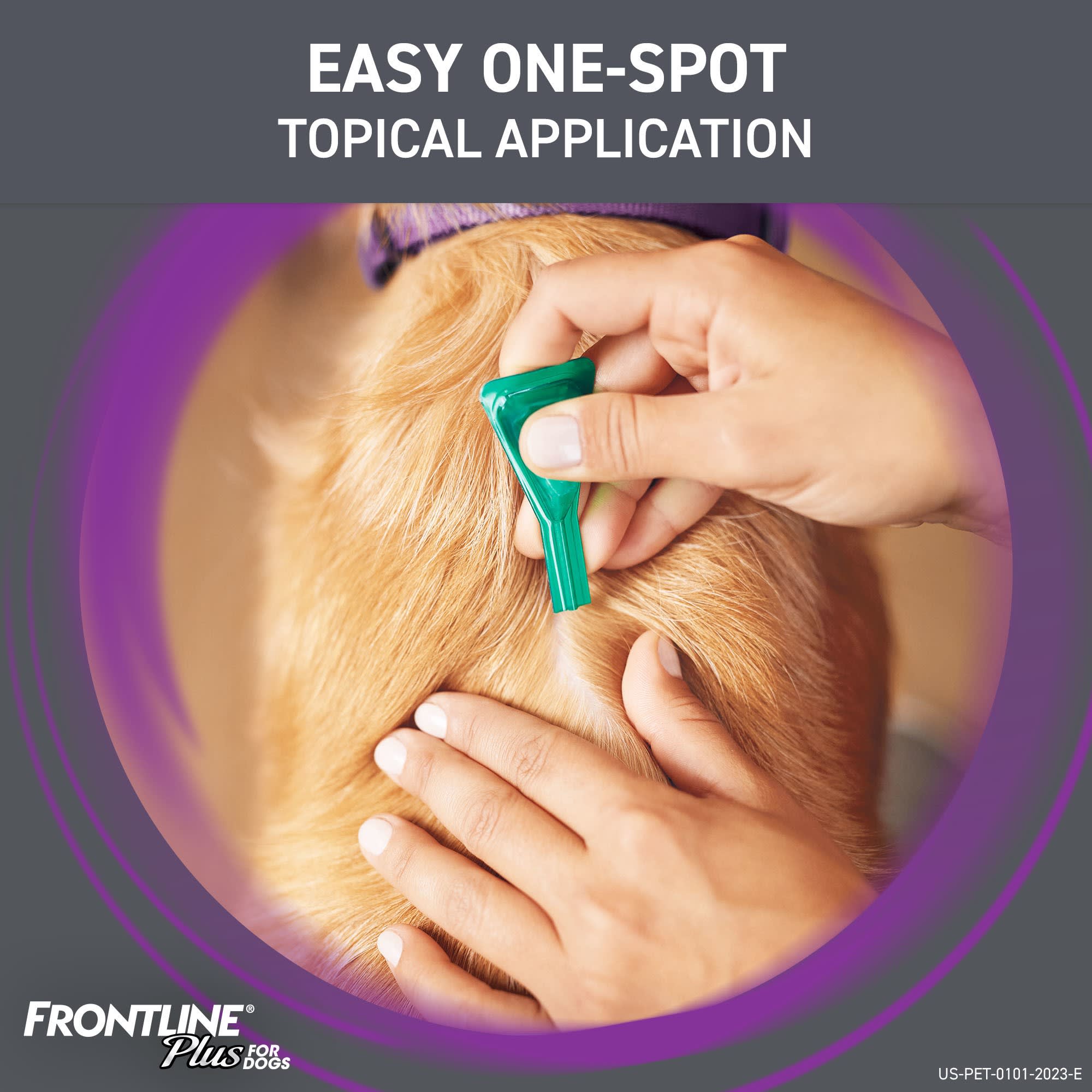 Applying frontline to dogs best sale