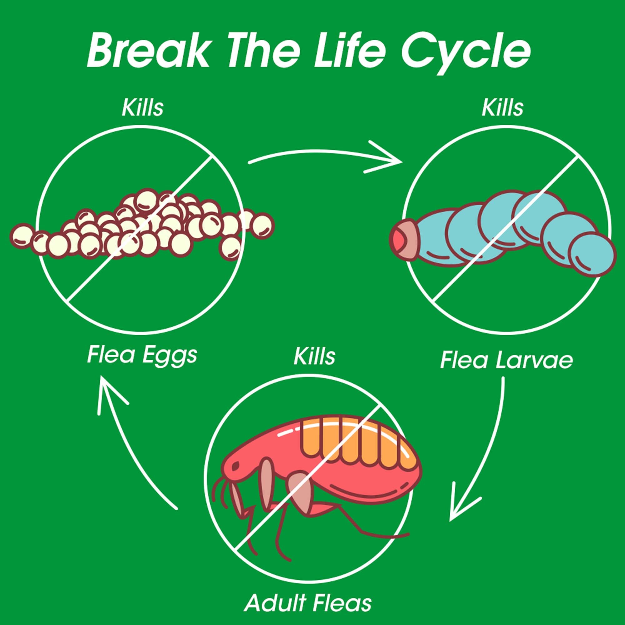 petco frontline plus