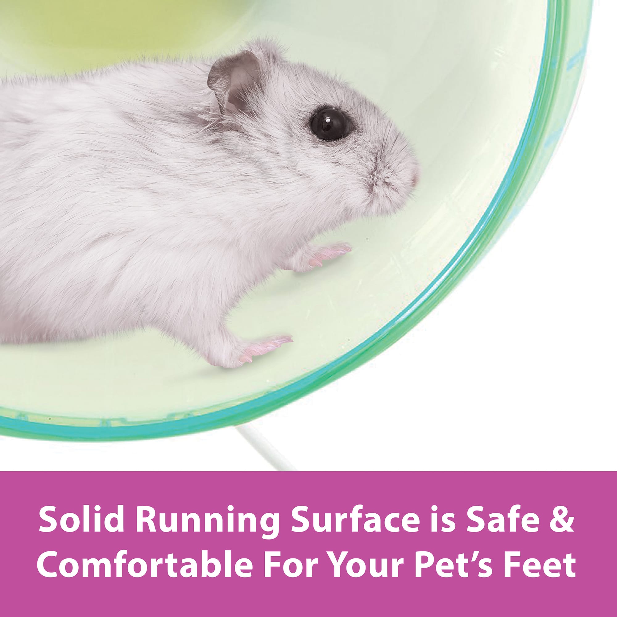 Pets at home hamster wheel best sale