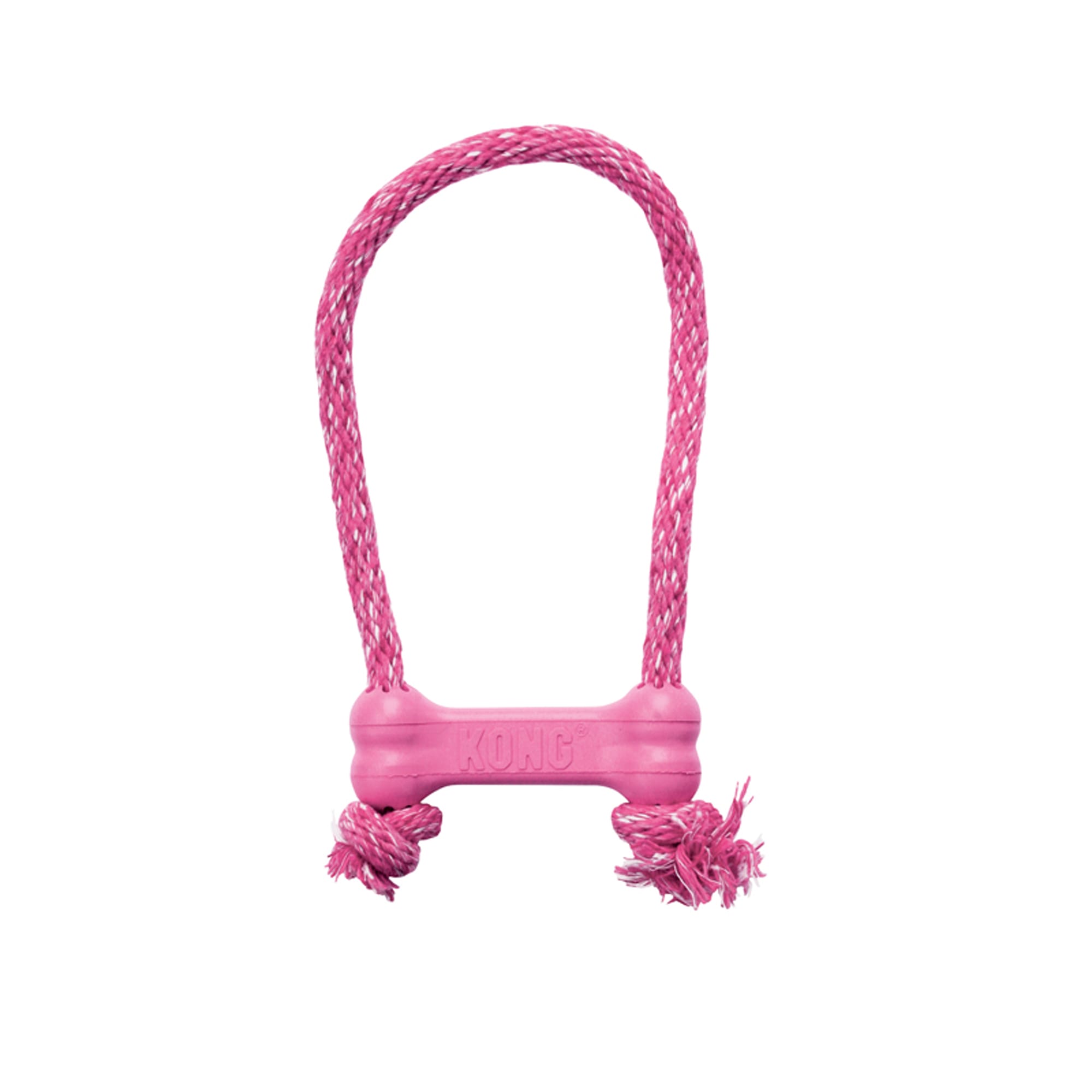 kong puppy goodie bone small