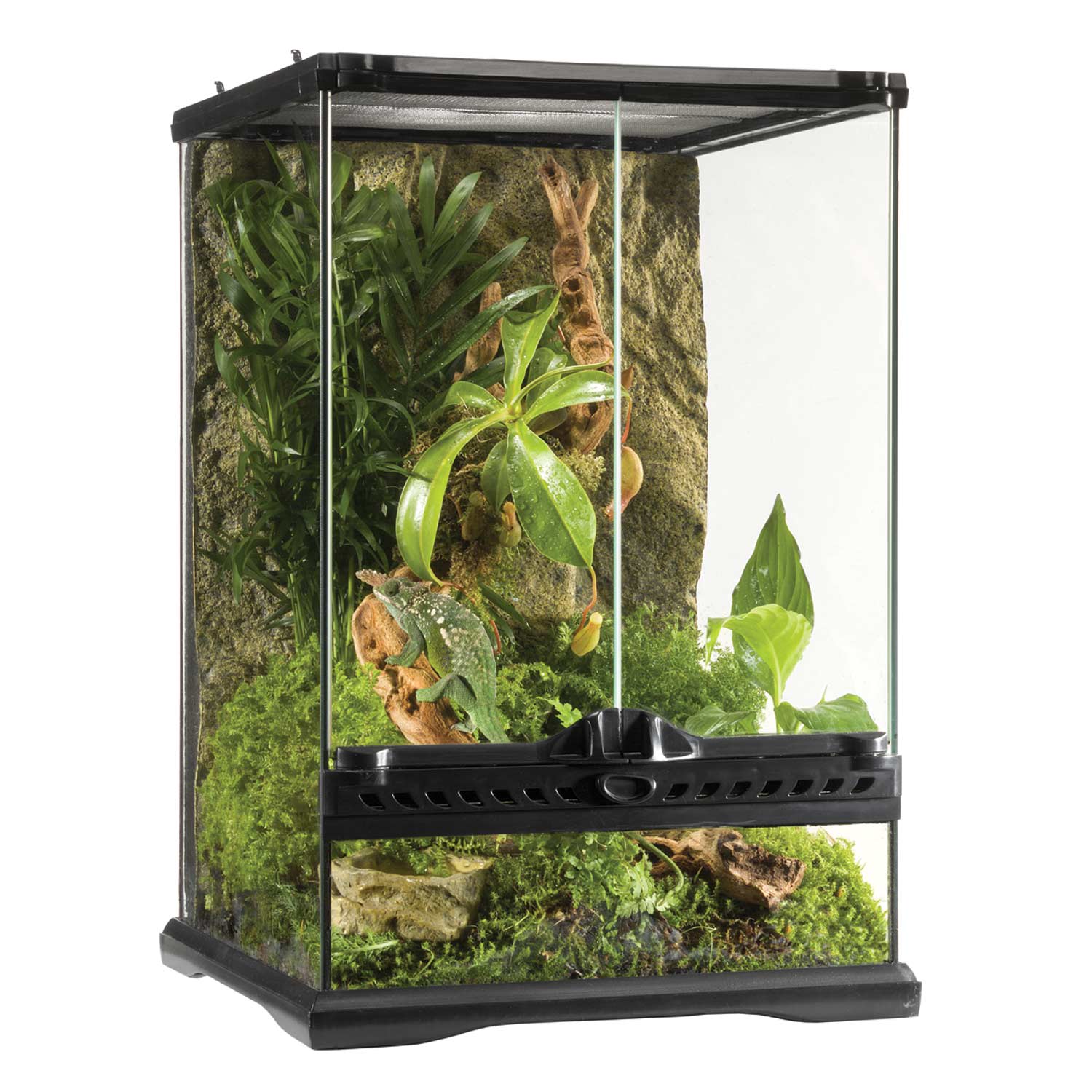 zoo med tall terrarium