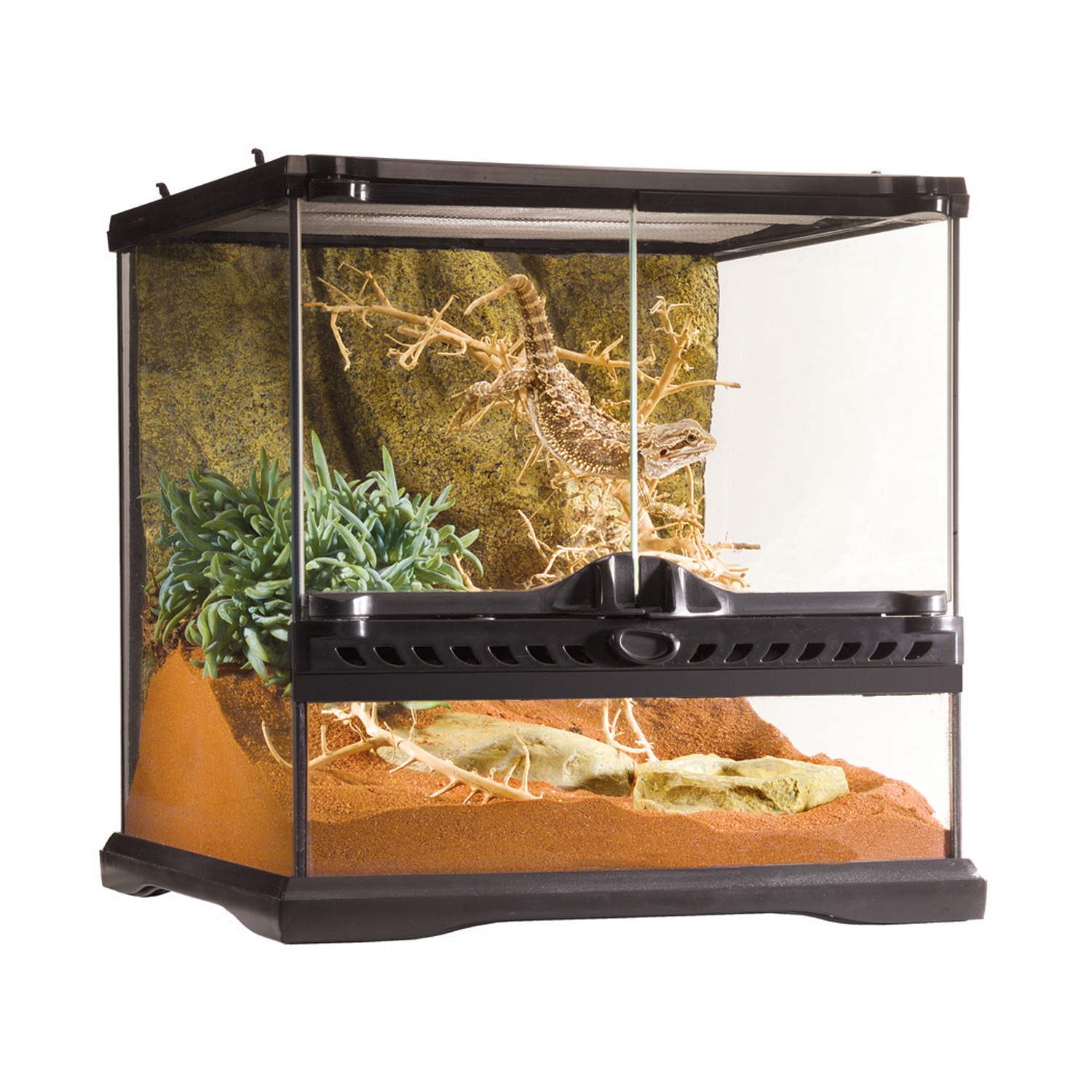 petco gecko tank