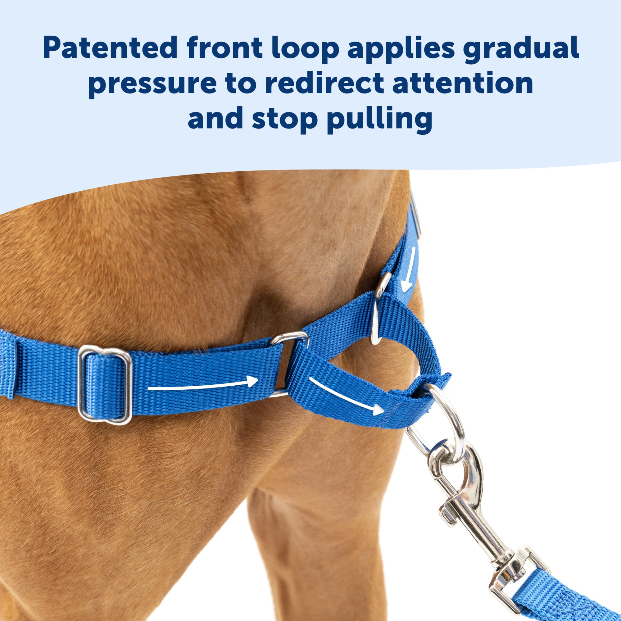 Gentle leader hotsell easy walk harness