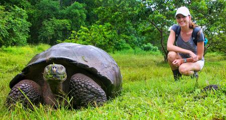 Common Bacterial Infections in Turtles and Tortoises