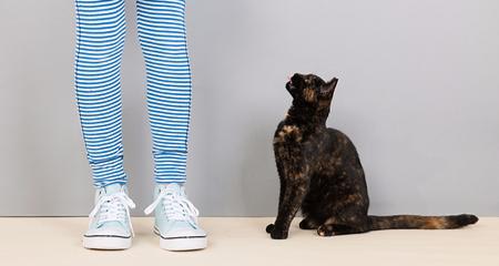 6 Ways Cats Try to Communicate With Us