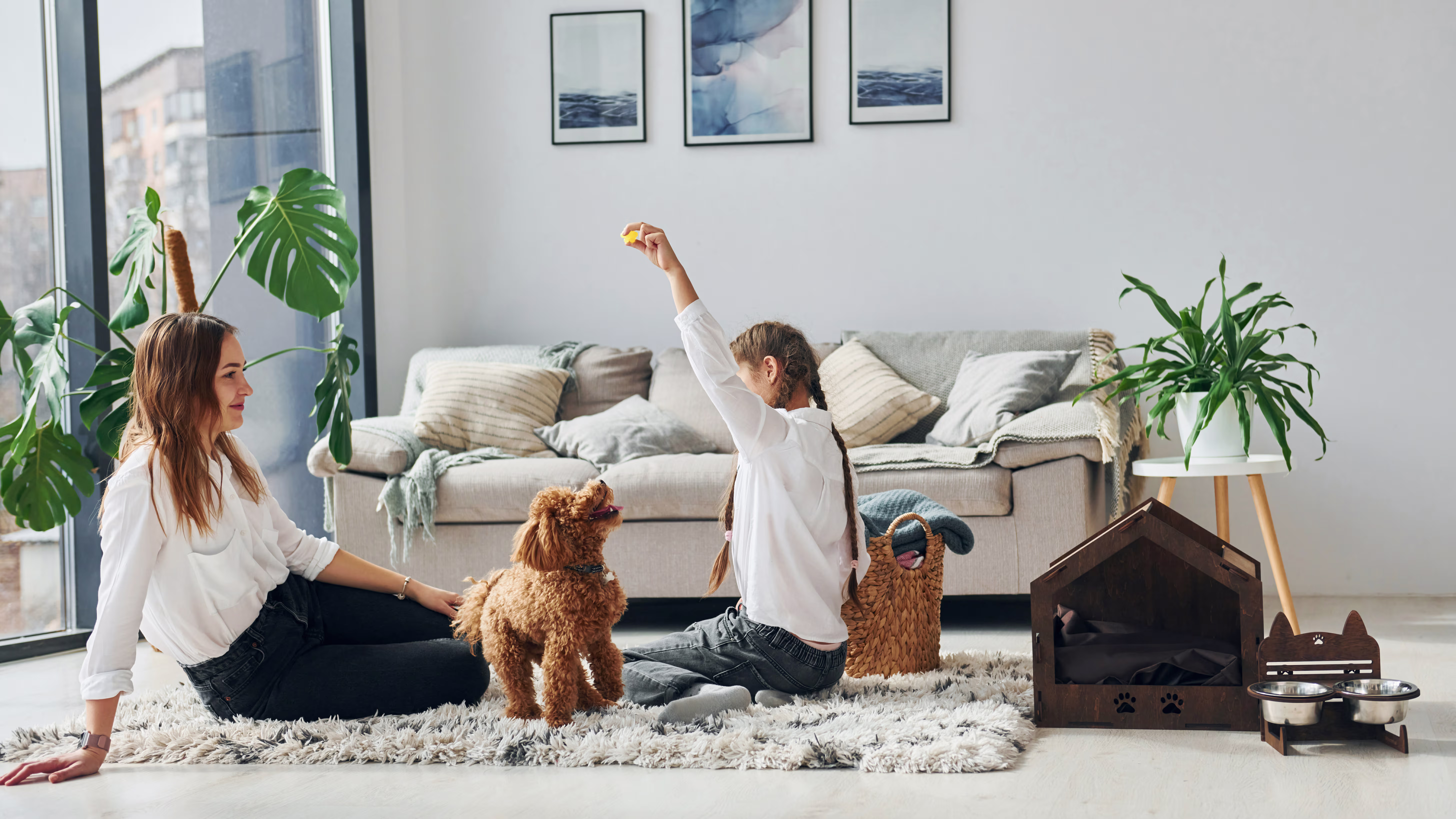 New Puppy? Puppy-Proof Your Home for a Safe & Happy Start