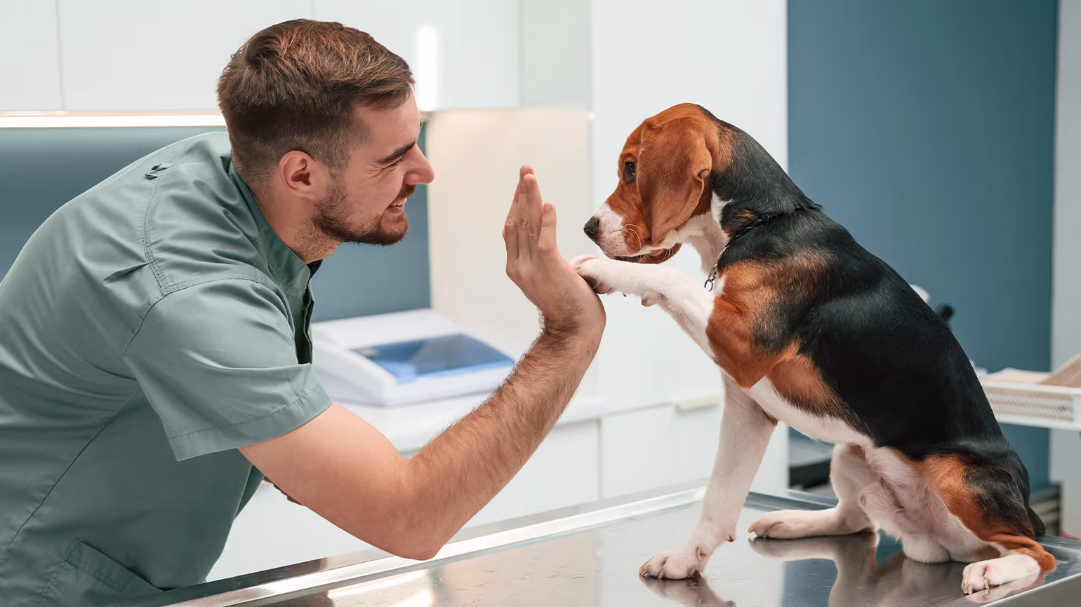 Pyrantel Pamoate: What It Treats & How to Use for Pet Worms