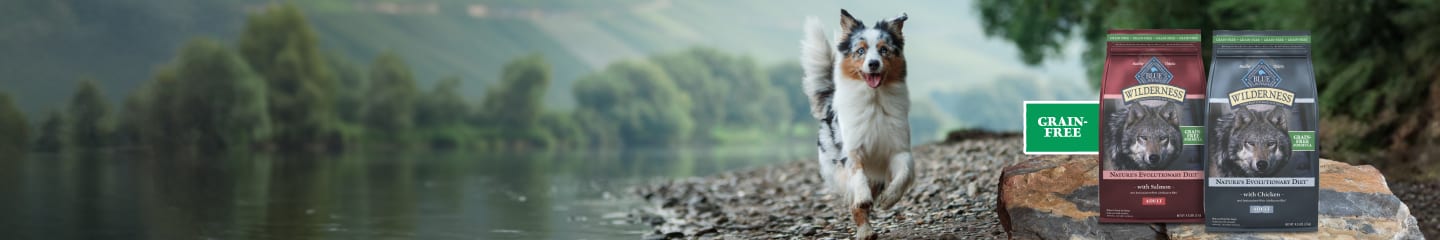 A dog running along a river. Blue Buffalo Wilderness bags on a log with a Grain Free label.
