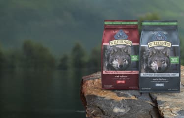 Two Blue Buffalo Wilderness bags on a log in the woods.