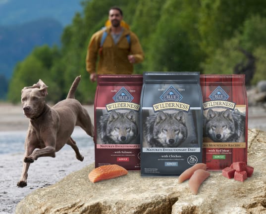 A dog running along a river with a person in the background. Bags of food, with select cuts of meat in front of them.