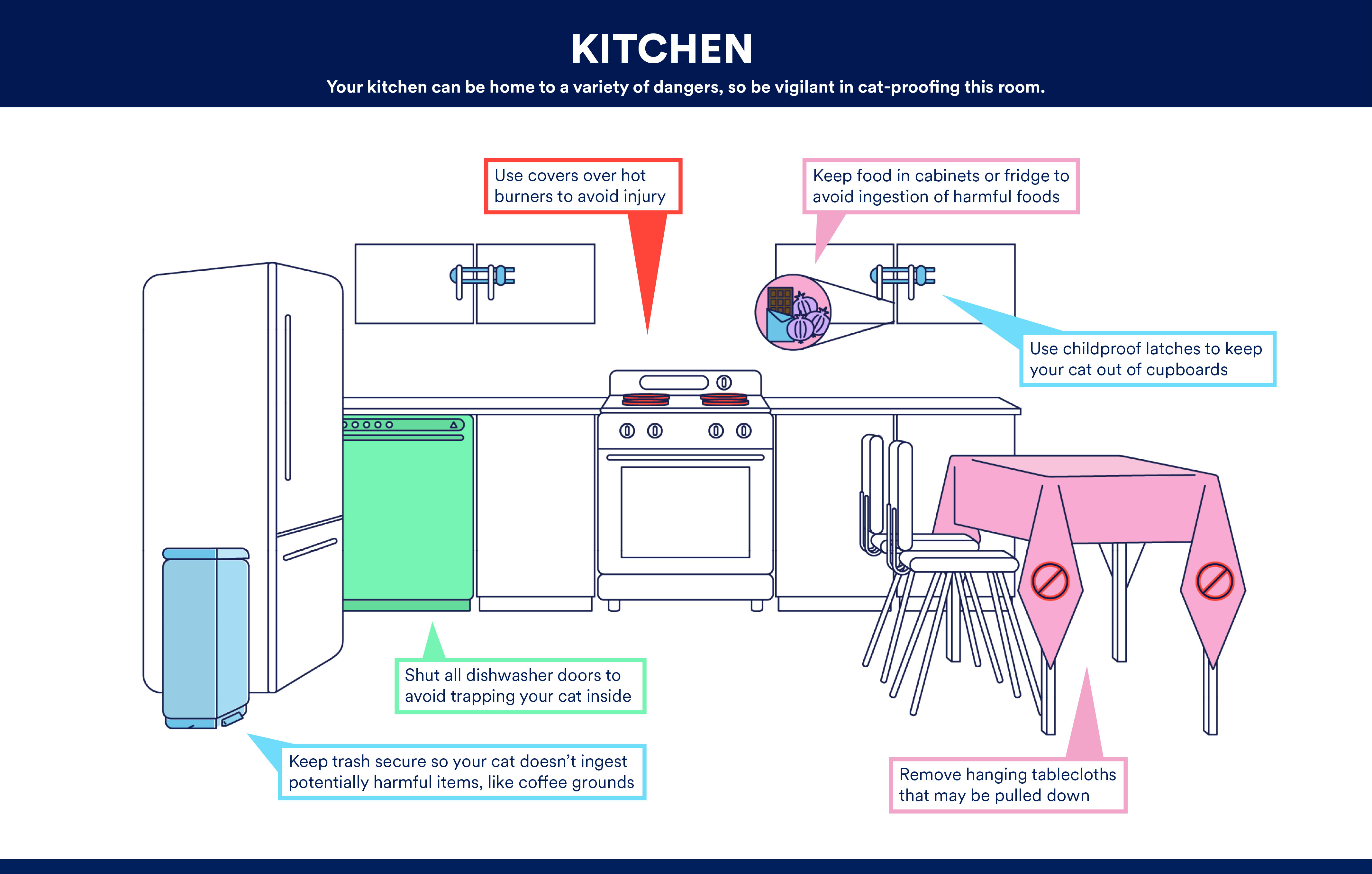 Cat Proofing Kitchen Graphic