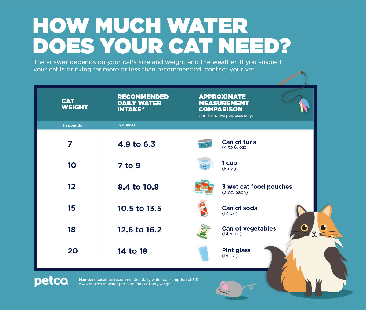 how-much-water-should-my-cat-drink-petco