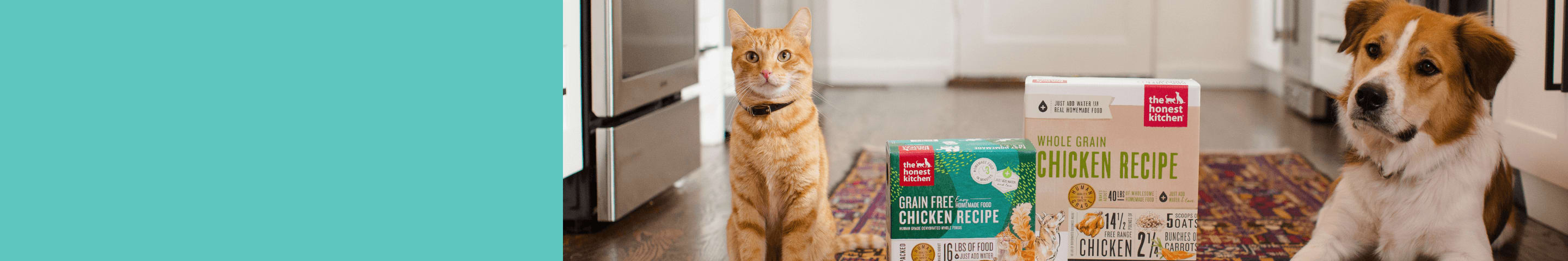A dog and cat laying on the kitchen floor with two boxes of The Honest Kitchen food in between them.