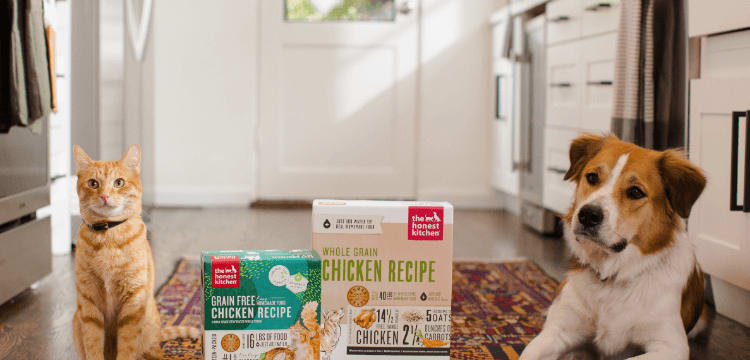 A dog and cat laying on the kitchen floor with two boxes of The Honest Kitchen food in between them.