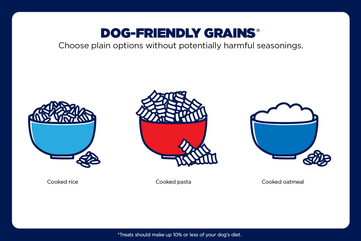 Healthy Snacks for Dogs Safe Human Treats You Can Feed Your Pet