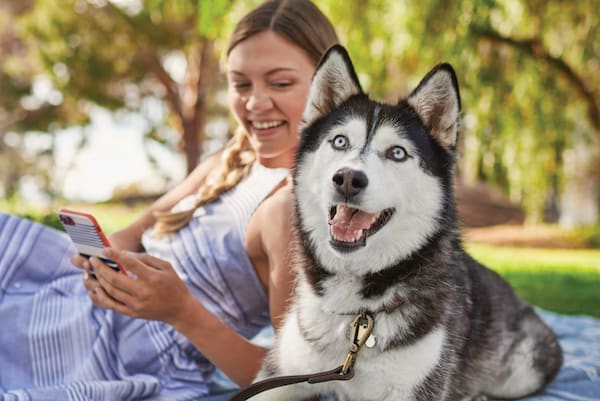 dog outside with person on phone